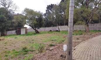 Imagem: GUARAPUAVA - Terreno Padrão - Trianon