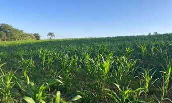 Imagem 7: TERRENO A VENDA ACEITA ENTRADA + PARCELAS ATÉ 48X