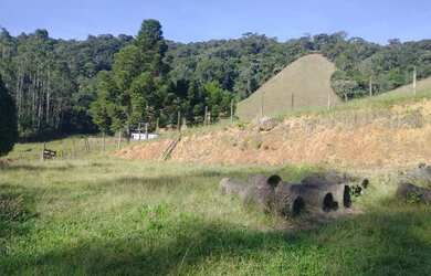 Imagem 3: Fazendinha região de marechal floriano 14 alqueires