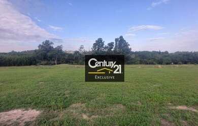 Imagem 7: Terreno com excelente topografia com vista para a mata!