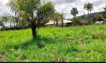 Imagem 2: Fazenda de 12 Alqueires Pasto Próxima a Lajeado