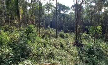 Imagem 4: Terreno de 1.000m2 apenas R$ 35 mil á vista 1IC480J