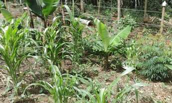 Imagem 2: Apartamento para venda com 999 metros quadrados com 2 quartos em Centro - Mairiporã - São