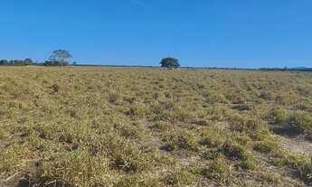 Imagem 14: Fazenda p/ Arrendamento de Soja. 1070 há. No Goiás