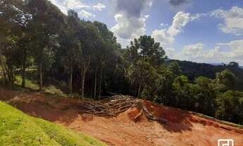 Imagem 6: Terreno à venda, 1169 m² por R$ 350.000,00 - Parque Pedra do Baú - Campos do Jordão/SP