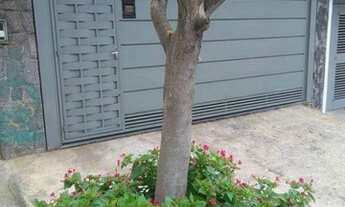 Imagem: Sobrado com 3 dormitórios à venda, 160