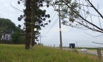 Imagem 7: Excelente Área Industrial