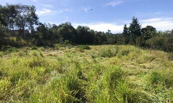 Imagem 5: Lindas chácaras 1.000 mts planas em Caete-água e luz pronto para construir perto do asfalt