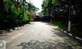 Imagem 4: Sobrado, Adalgisa - Osasco