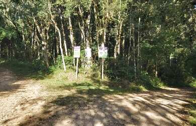 Imagem 6: Vendo chácara 5.064m2 - Excelente investimento!