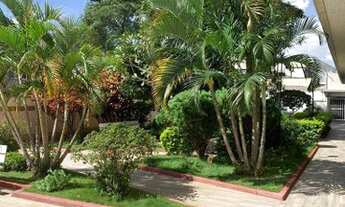 Imagem 3: Apartamento 02 Dormitórios-02 Banheiros-135 Metros-Centro