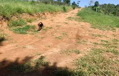 Imagem 5: Lote/Terreno para venda possui 600 metros quadrados em Centro - Mairiporã - SP
