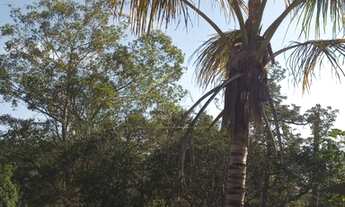Imagem 6: Pesqueiro a venda no bairro de Batatuba em Piracaia-SP