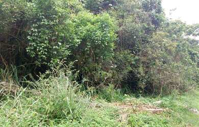 Imagem 3: Terreno 482 m² - escritura registrada cartório -Garça Vermelha - Peruíbe/SP - Aceita Troca