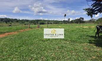 Imagem 2: Fazenda à venda - Comendador Gomes/Minas Gerais