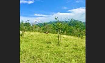 Imagem 7: Lotes para construção de casas