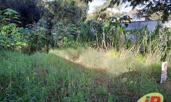 Imagem 3: Terreno em rua tranquila