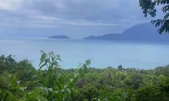 Imagem 2: Ilhabela praia da Feiticeira terreno 1.500 m2