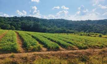 Imagem 6: Terreno de até 1000m² em COTIA/SP - Pagamento Facilitado!