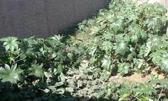 Imagem 2: Terreno à venda, 125 m² por R$ 148.000,00 - Santa Rita de Cassia - Santa Bárbara D'Oe