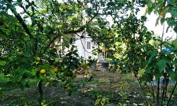 Imagem 3: Chácara a Venda Itanhaém, litoral SP