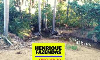 Imagem 3: Fazenda no sul do Tocantins 35,5 Alqueires 171,83 hectares