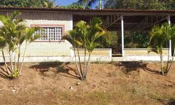 Imagem 6: Em Planaltina DF vendo excelente e linda chácara com muita água 6,8 hectares