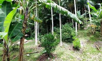 Imagem 3: Sítio palhoça Chácara com venda por R$400.000