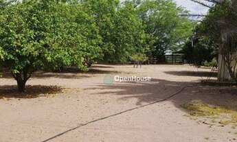 Imagem 3: Sítio Rural à venda, Centro, Ceará-Mirim - SI0001