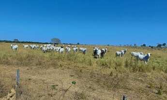 Imagem 8: Fazenda p/ Arrendamento de Soja. 1070 há. No Goiás