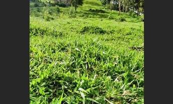 Imagem 5: Vende-se sitio no bairro da Gloria em Cristina-MG