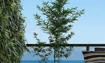 Imagem 4: BELÍSSIMO EMPREENDIMENTO, COMPLETO COMO VOCÊ MERECE!