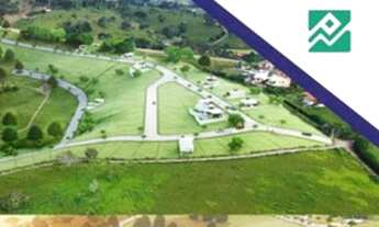 Imagem 4: Loteamento em Chã Grande