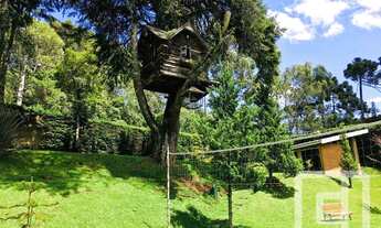 Imagem 2: Terreno à venda, 1000 m² por R$ 390.000,00 - Alto da Boa Vista - Campos do Jordão/SP