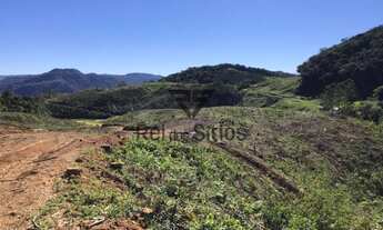 Imagem 4: Sítio 5 Quartos Benedito Novo - SC - Consulte