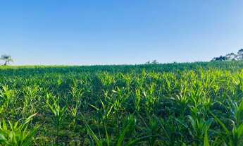 Imagem 5: Terrenos em Ibiúna com Fácil Acesso a Osasco SP