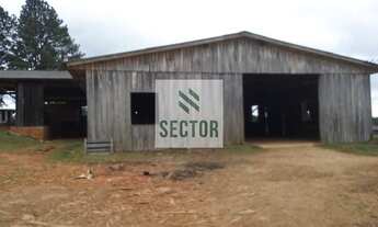 Imagem 7: Galpão / Depósito / Armazém em Colônia Zacarias - São José dos Pinhais