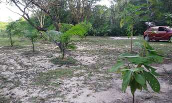 Imagem 2: Sítio com igarapé