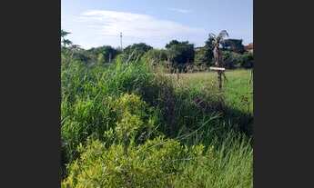 Imagem 7: Lote/Terreno para venda possui 5000 metros quadrados em Unamar (Tamoios) - Cabo Frio - RJ