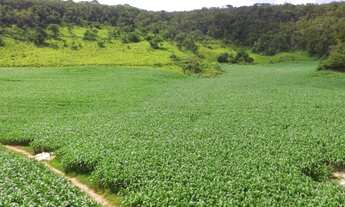 Imagem 2: Vende-se Excelente Oportunidade (Propriedade 46 ha