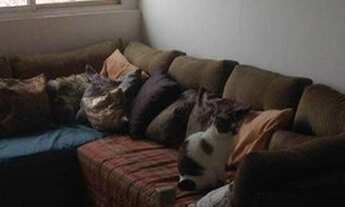 Imagem 2: Apartamento com 2 dormitórios à venda, 53 m² por R$ 298.000,00 - Vila Santa Catarina - São