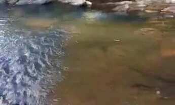 Imagem 7: Linda chácara em Aguas Lindas com Córrego passando atrás 5 mil ²