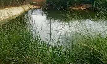 Imagem 3: Chácara no incra 7 a 1km da pista