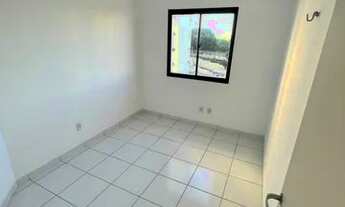 Imagem 6: Sun Golden - seu novo lar