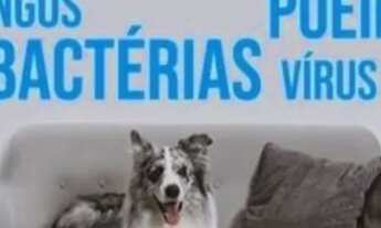 Imagem: Lavagem a seco e Higienização