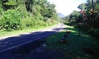 Imagem 4: Chácara-à-Venda-em-São-João-da-Graciosa-Morretes-PR