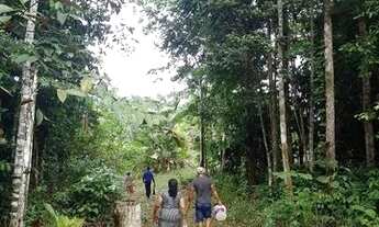 Imagem 5: Vendo sítio na BR 174,km 86