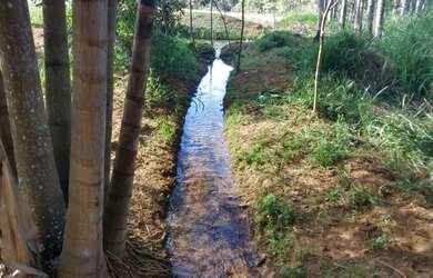 Imagem 4: Vendo chácara de 1 alqueire e 70 litros no município de Trindade