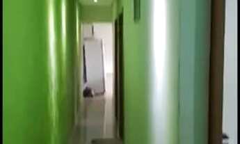 Imagem 4: Casa com 3 dormitórios à venda, 182 m² por R$ 500.000,00 - Parque Bauru - Bauru/SP