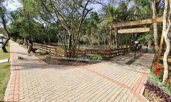 Imagem 5: GRANJA VIANA - PALM HILLS